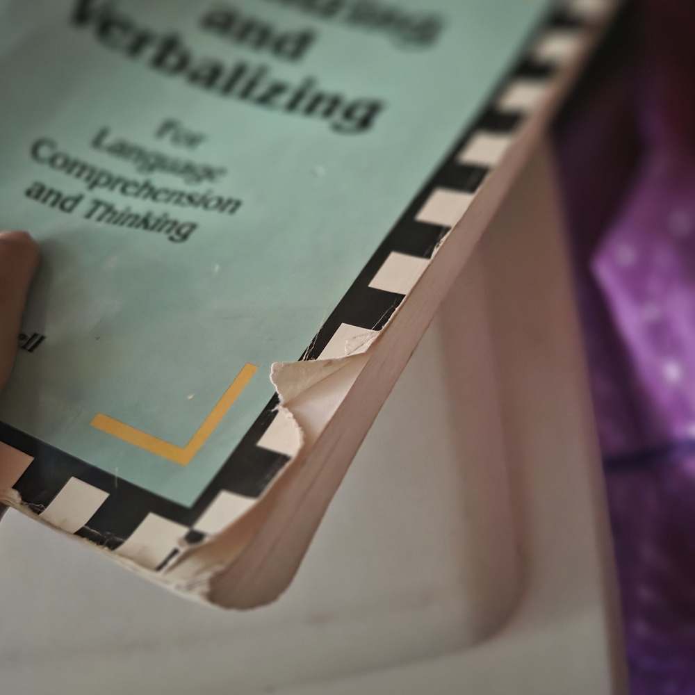 Visualizing and Verbalizing Book - Picture 4 of 4